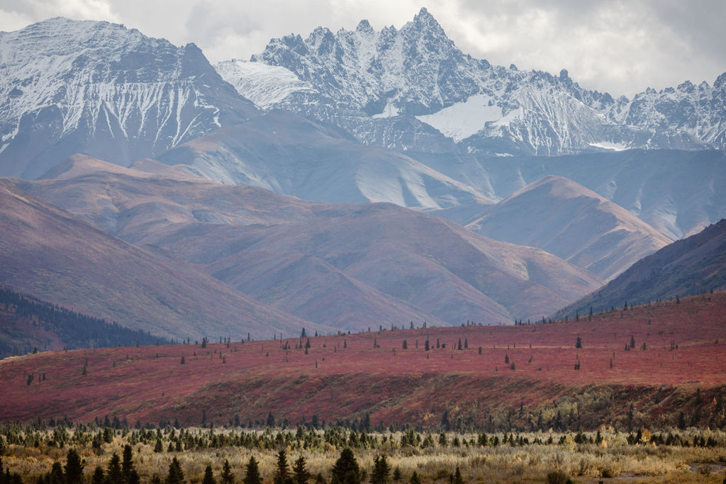 Kenai Fjords Alaska elopement photographer